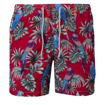 Lighting ultralight swim short 41 s