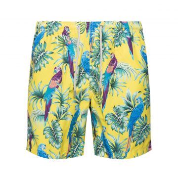 Swim short manaus s