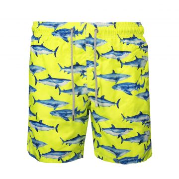 Swim short shark l